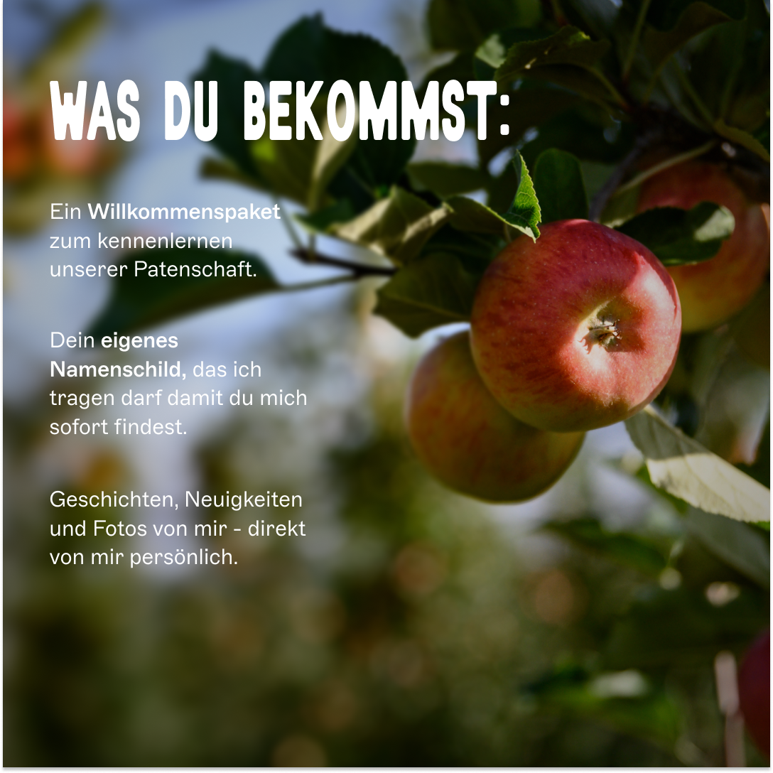 BIO-Marillenbaum Patenschaft