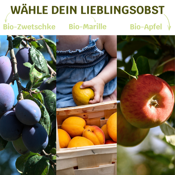 BIO-Obstbaum für 1 Erntejahr