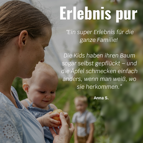 BIO-Obstbaum für 1 Erntejahr