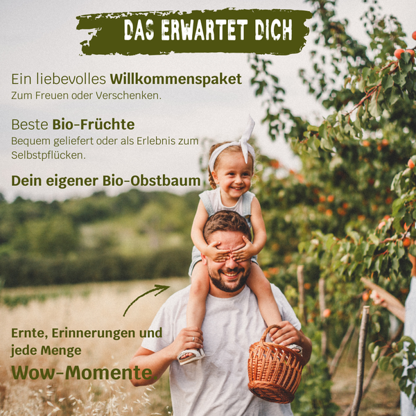 BIO-Obstbaum für 1 Erntejahr