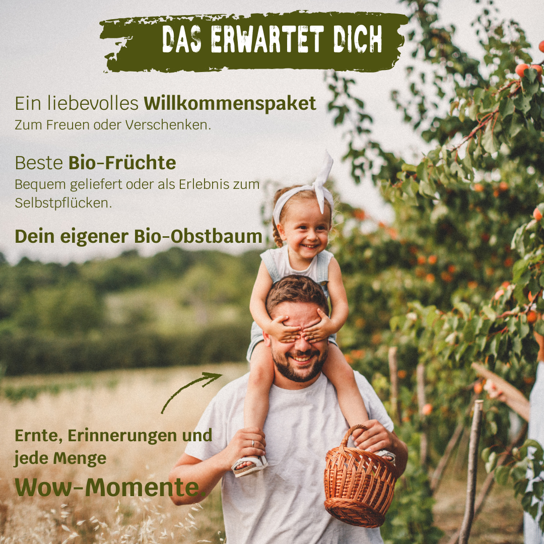 BIO-Obstbaum für 1 Erntejahr