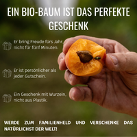 BIO-Obstbaum für 1 Erntejahr