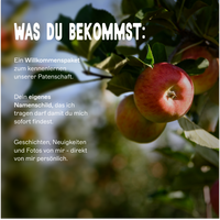 BIO-Obstbaum für 1 Erntejahr