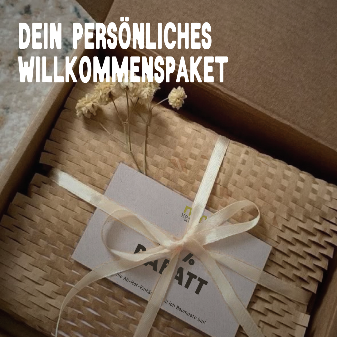 BIO-Obstbaum für 1 Erntejahr