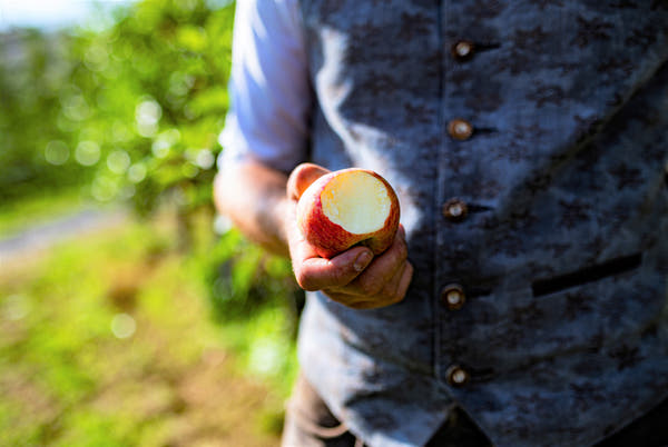 BIO - Apfelbaum Patenschaft