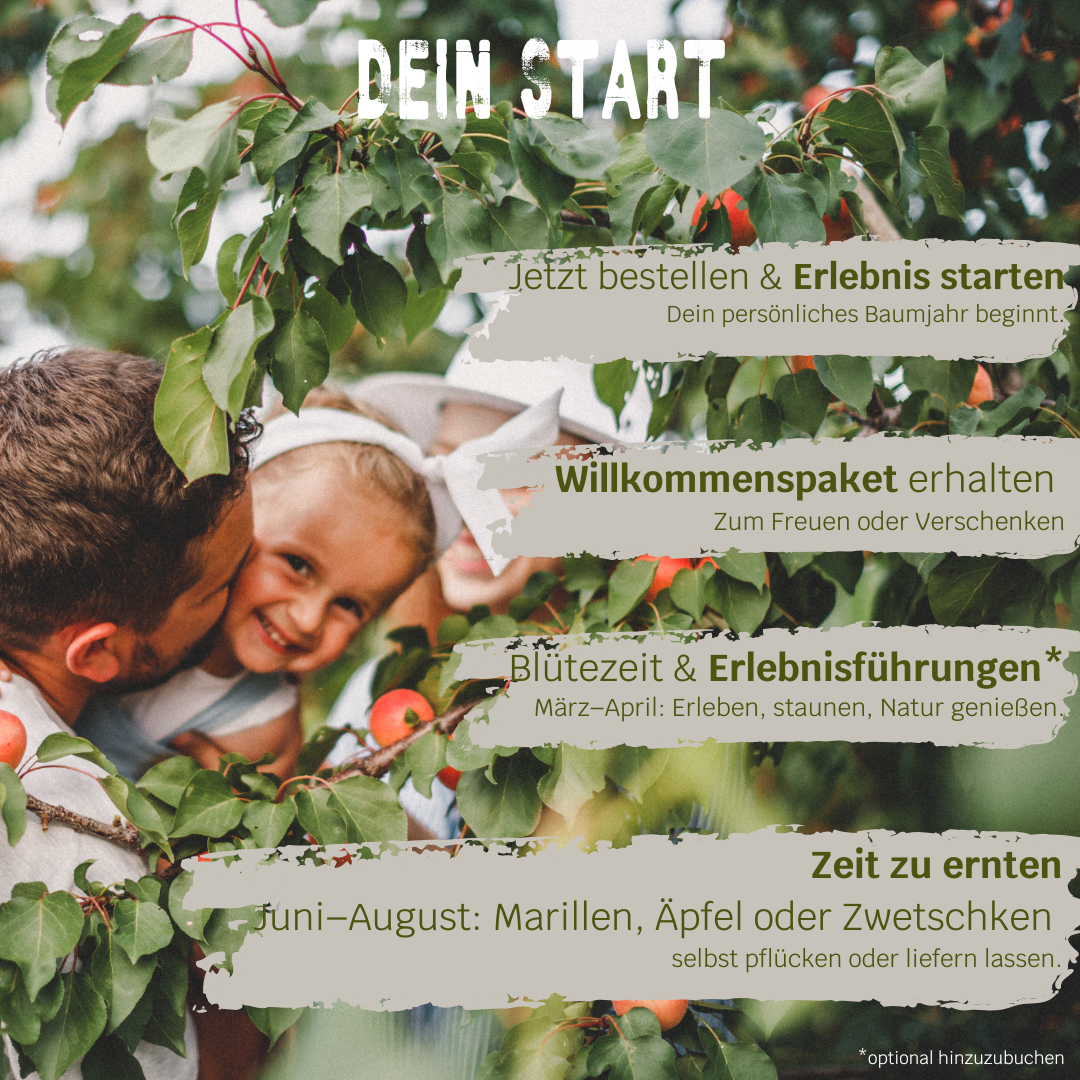 BIO-Obstbaum für 1 Erntejahr