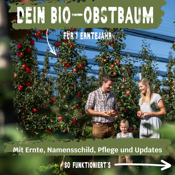 BIO-Obstbaum für 1 Erntejahr