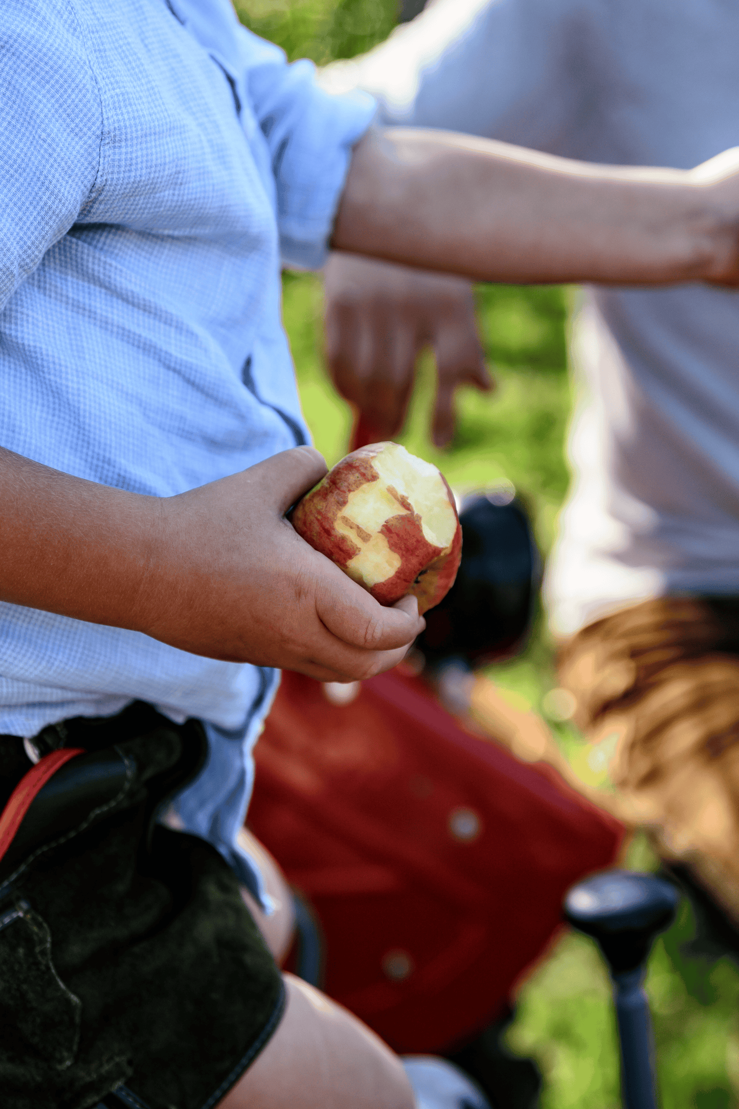 BIO - Apfelbaum Patenschaft