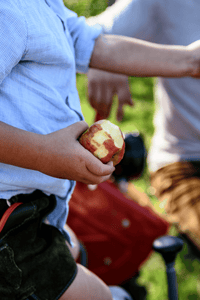 BIO - Apfelbaum Patenschaft