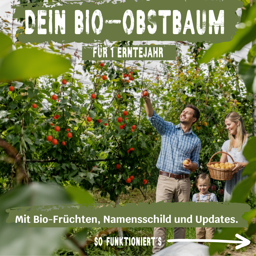 BIO-Obstbaum für 1 Erntejahr