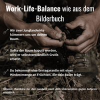 BIO-Obstbaum für 1 Erntejahr