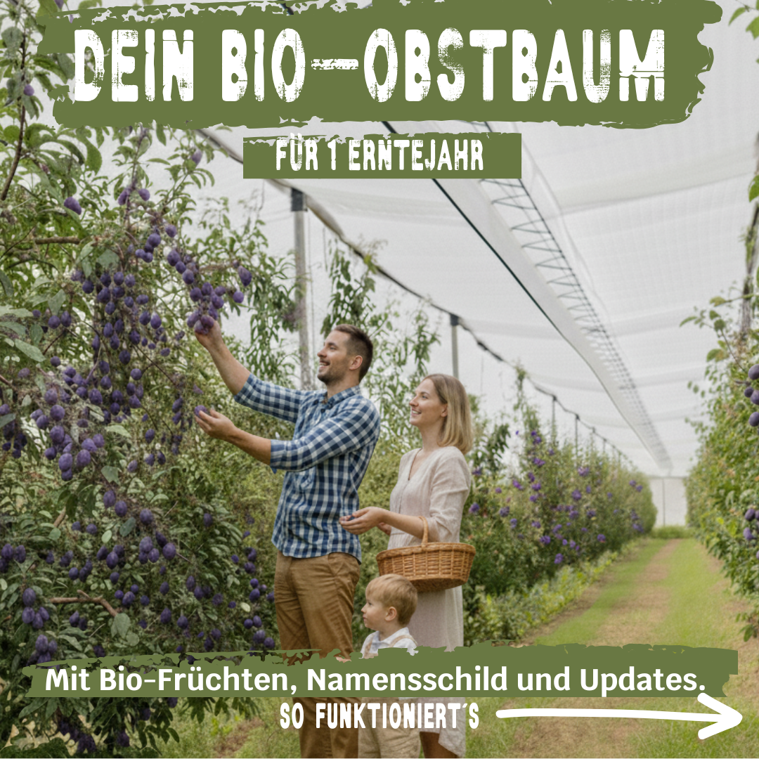 BIO-Obstbaum für 1 Erntejahr