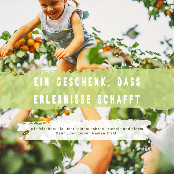 BIO-Obstbaum für 1 Erntejahr