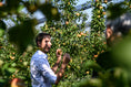 Bild in Galerie-Betrachter laden, Baumtrio - Natur Näher - Traum-Baum
