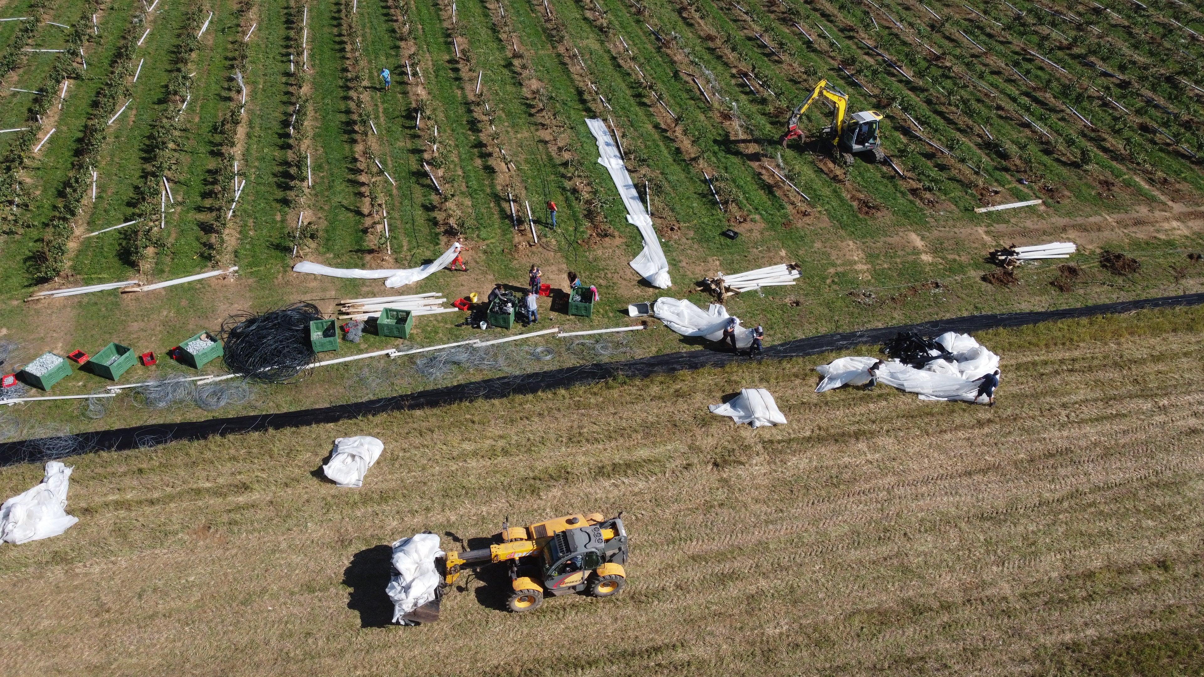 Video laden: Video: Vom Sturm zu den Baumpatenschaften 
